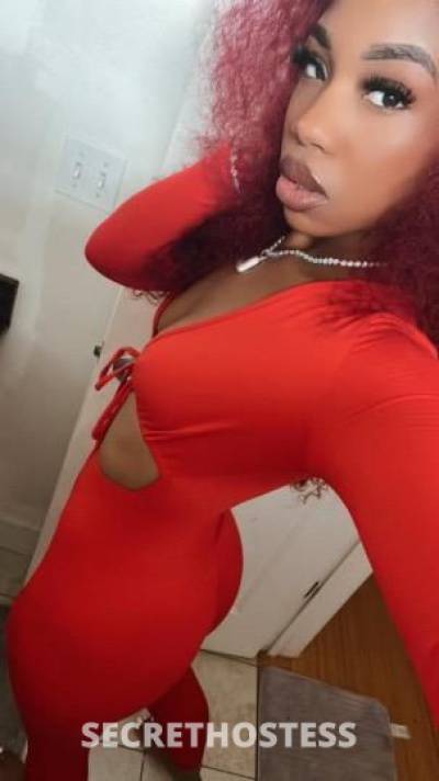 Glam 26Yrs Old Escort Austin TX Image - 10