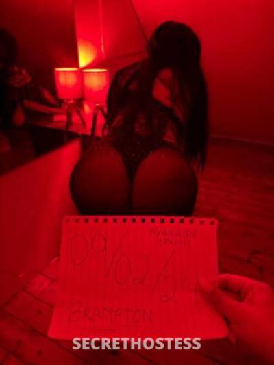 Jesy 25Yrs Old Escort Toronto Image - 2