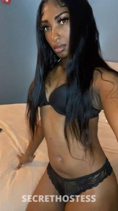 Journey 22Yrs Old Escort Chicago IL Image - 1