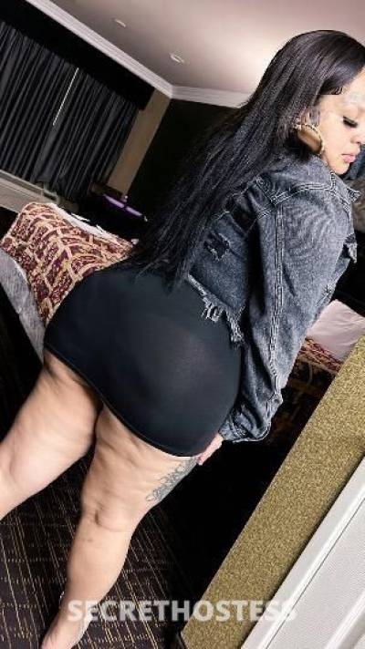 Kandy 27Yrs Old Escort Los Angeles CA Image - 3