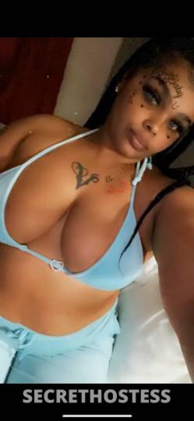 Kash 25Yrs Old Escort Dallas TX Image - 1