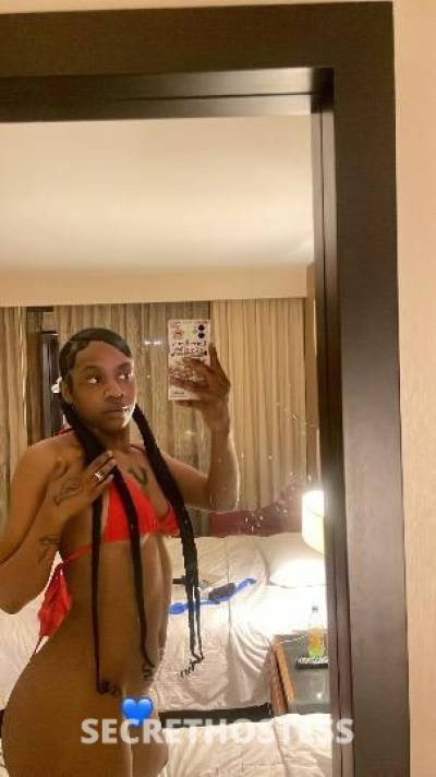 Kaykay 20Yrs Old Escort Los Angeles CA Image - 1