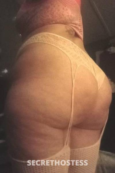 Kitkat 39Yrs Old Escort Bloomington IL Image - 1