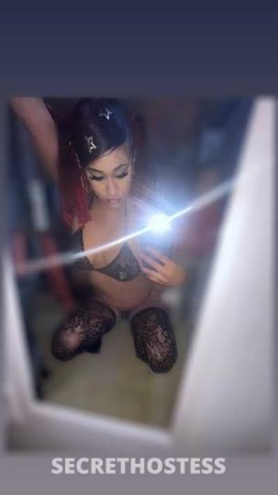 Layla 21Yrs Old Escort Concord CA Image - 2