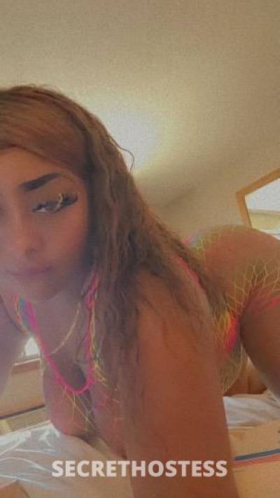 Laylani 24Yrs Old Escort Colorado Springs CO Image - 3