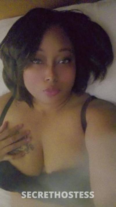 MIssKittyExotics 32Yrs Old Escort Jacksonville FL Image - 4