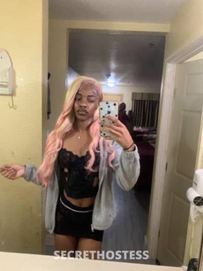 Mercedes 21Yrs Old Escort New Orleans LA Image - 8