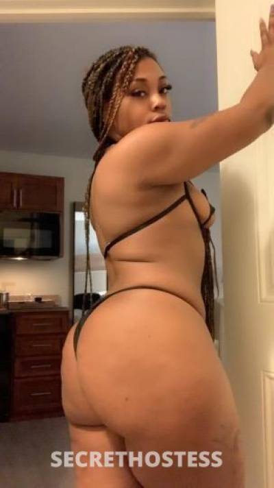 MissSugar 24Yrs Old Escort Chicago IL Image - 1