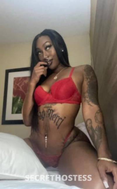 28 year old Escort in Mobile AL Sweet Merci .. Come get some chocolate