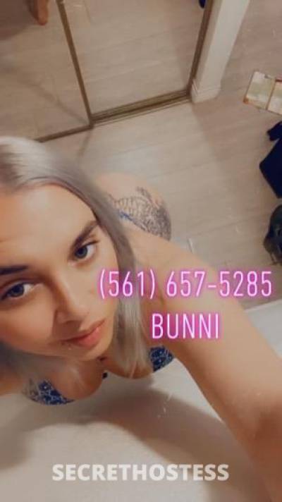 PalmBeachbunni 28Yrs Old Escort Toledo OH Image - 6