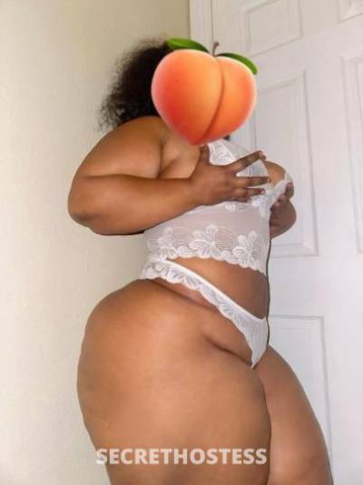 Paola 32Yrs Old Escort North Jersey NJ Image - 1