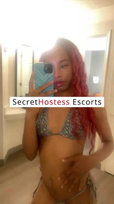 Paradise 27Yrs Old Escort 54KG 172CM Tall Fort Worth TX Image - 1