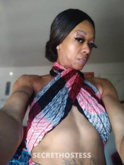 Pleasure 41Yrs Old Escort Monroe MI Image - 6