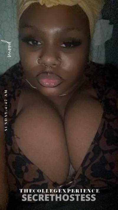 ROSEGXLD 24Yrs Old Escort Houston TX Image - 2