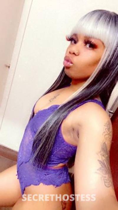 Ressie 23Yrs Old Escort Chicago IL Image - 1