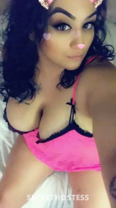 Rosa 29Yrs Old Escort 165CM Tall Newport News VA Image - 3