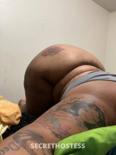 SOFTTEDDY💕 19Yrs Old Escort Memphis TN Image - 1