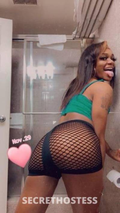 Sassy 26Yrs Old Escort Toledo OH Image - 6