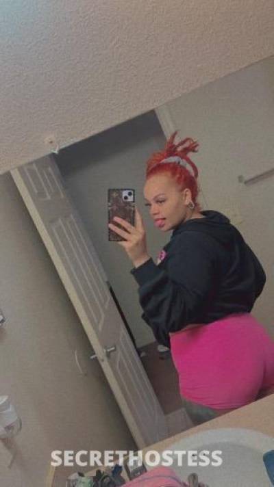 24 year old Escort in Ocala FL Sexy.. pretty face. .% REAL PICS
