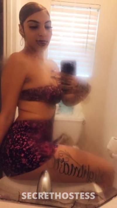 Starr 20Yrs Old Escort Longview TX Image - 6