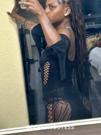 Suee 24Yrs Old Escort Houston TX Image - 1