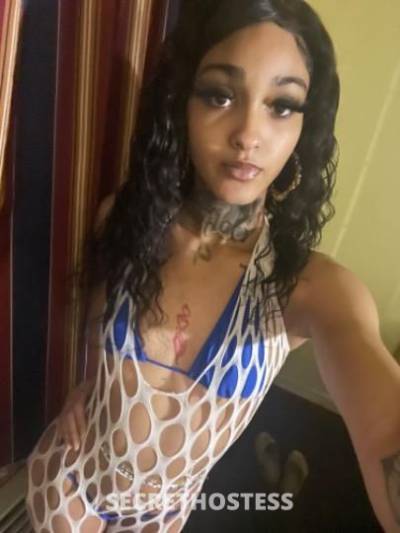 Sweets 19Yrs Old Escort Los Angeles CA Image - 3