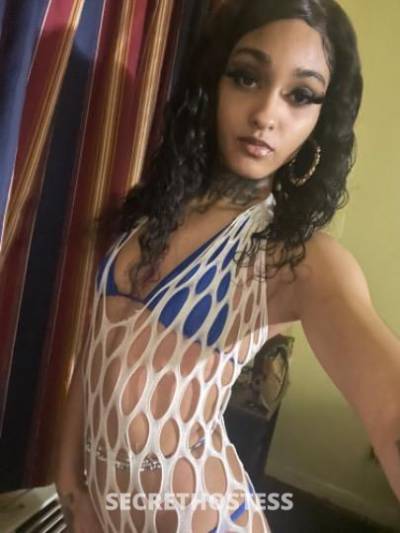 Sweets 19Yrs Old Escort Los Angeles CA Image - 5