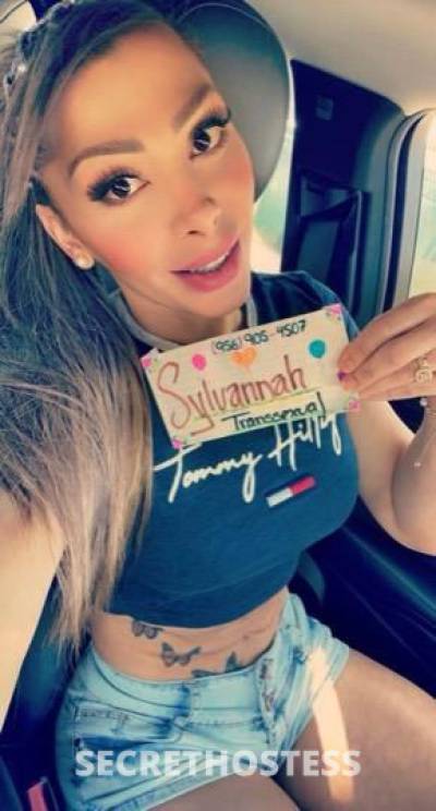 Sylvannah 25Yrs Old Escort McAllen TX Image - 4