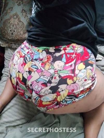 Vanilla 24Yrs Old Escort Saint Louis MO Image - 0