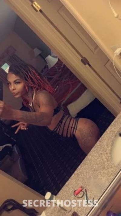 Xxtacy 26Yrs Old Escort Saint Louis MO Image - 0