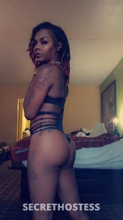 Xxtacy 26Yrs Old Escort Saint Louis MO Image - 4