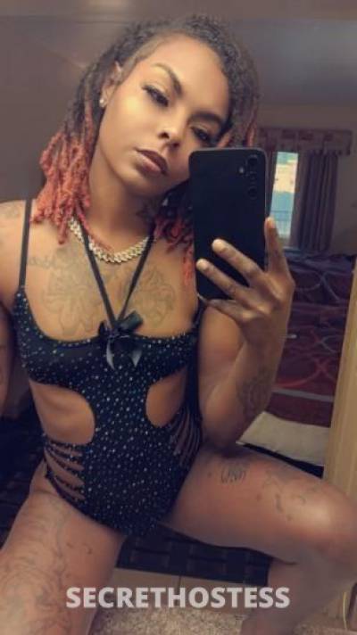 Xxtacy 26Yrs Old Escort Saint Louis MO Image - 6