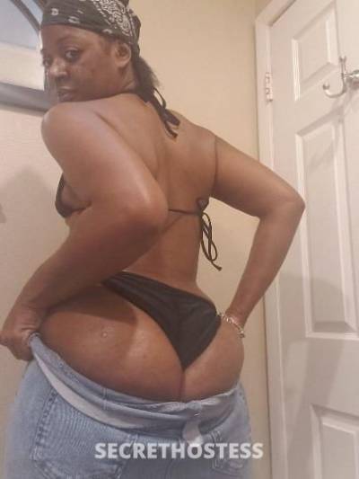 Zebrae 27Yrs Old Escort Orlando FL Image - 3