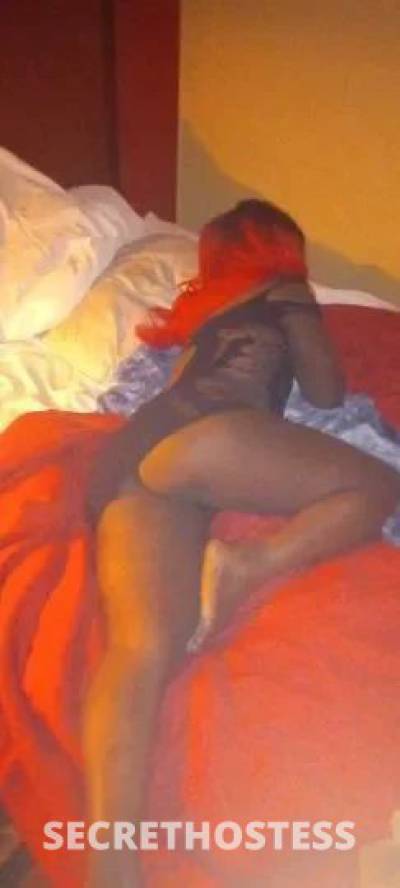  Chocolate 28Yrs Old Escort 142CM Tall Eastern Shore MD Image - 0