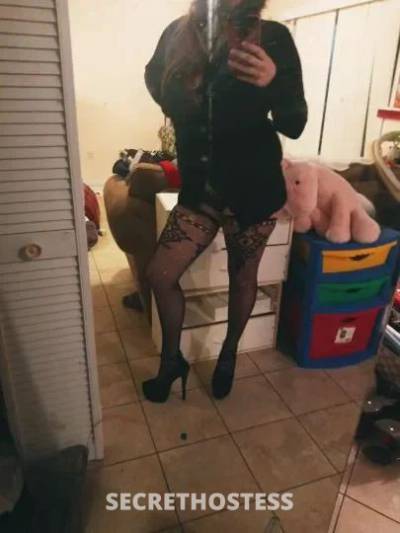 &nbsp;Lauren 24Yrs Old Escort Martinsburg WV Image - 11