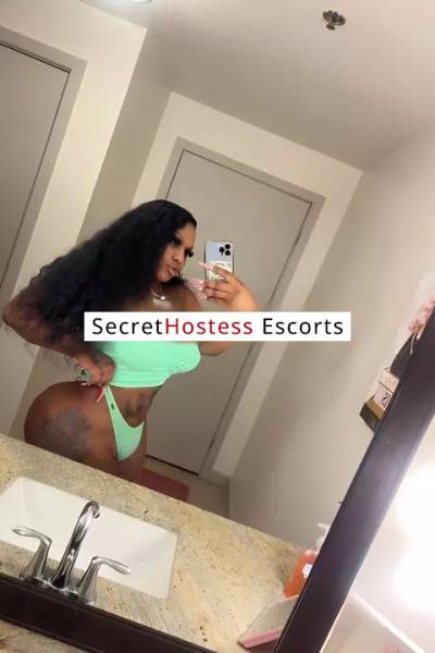 24 Year Old Escort Dallas TX - Image 5