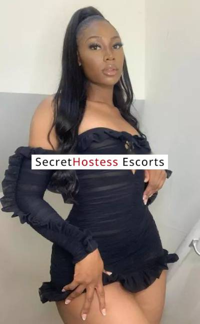 25 Year Old Canadian Escort Salmiya - Image 6