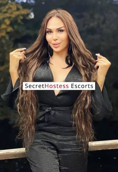 27Yrs Old Escort 71KG 170CM Tall Yerevan Image - 7