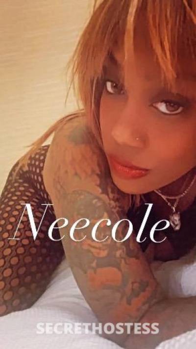 28Yrs Old Escort Norfolk VA Image - 4