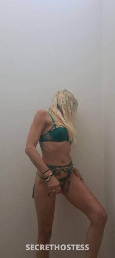 29Yrs Old Escort Size 8 Sunshine Coast Image - 2