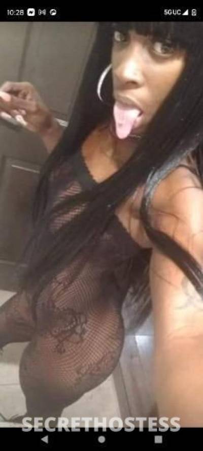 29Yrs Old Escort Memphis TN Image - 1