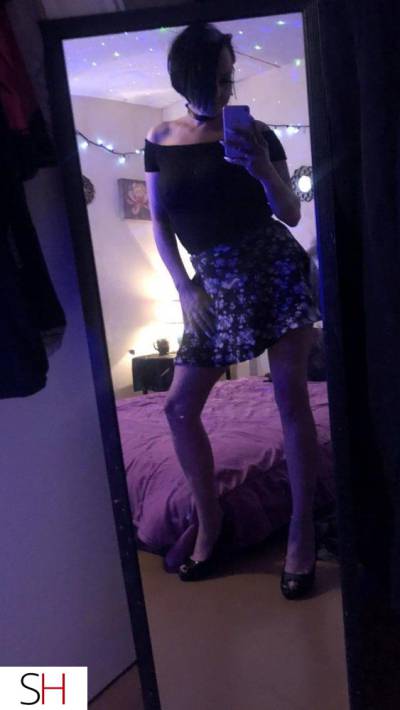 42Yrs Old Escort 162CM Tall Winnipeg Image - 3