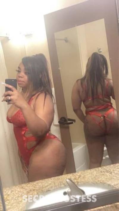 Alana 24Yrs Old Escort Saint Louis MO Image - 2