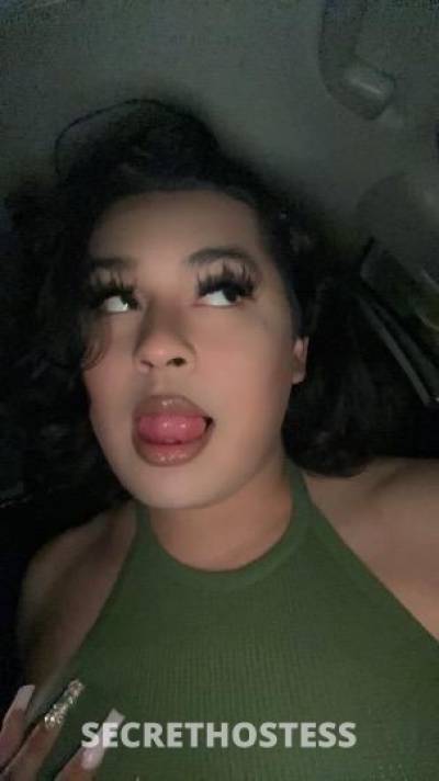 Ary 21Yrs Old Escort El Paso TX Image - 7