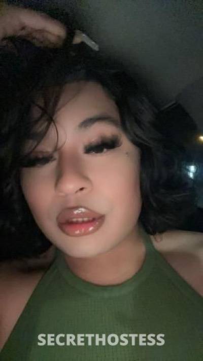 Ary 21Yrs Old Escort El Paso TX Image - 10
