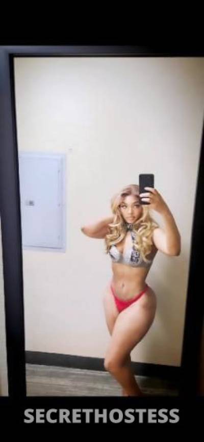 Bella 25Yrs Old Escort Northern Virginia DC Image - 1