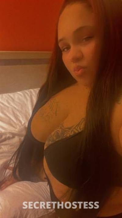 Brandi 25Yrs Old Escort Long Beach CA Image - 0