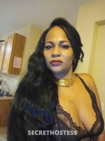 Brenda 28Yrs Old Escort Denver CO Image - 0