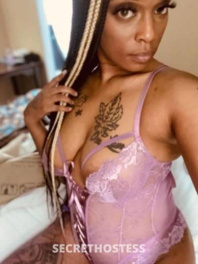 Bribri 25Yrs Old Escort New Orleans LA Image - 2