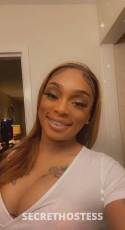 Bribri 25Yrs Old Escort New Orleans LA Image - 8